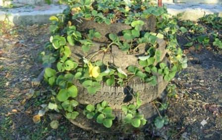 Вертикальная клумба из старых автомобильных покрышек