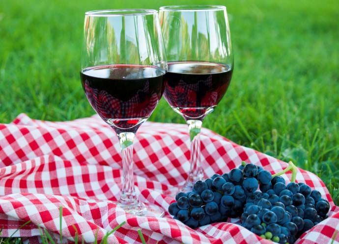 Многие виноградари используют сорт &laquo;Муромец&raquo; для изготовления высококачественного столового вина