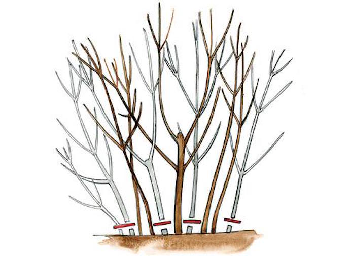 Приступайте к методу до того, как вода начнет активно перемещаться внутри ствола: ранней весной либо поздней осенью