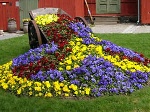 Оригинальный подход к оформлению дачного газона цветами и фигурами