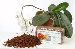 Самый доступный посадочный грунт для комнатных орхидей – сосновая кора