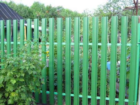 Забор из металлического штакетника — надежность и прочность ограждения