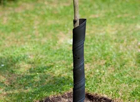 Используйте все средства, чтобы спасти сад от зайцев!