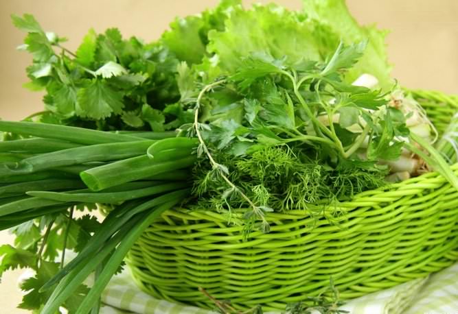 Гидропоника чаще всего используется для культивирования зелени