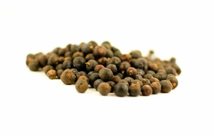 В природе Juniperus Virginiana размножается с помощью семян