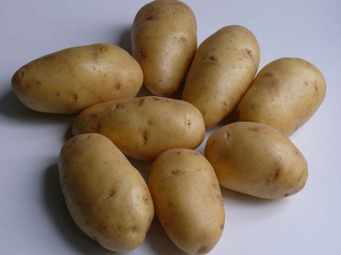 Российские семена способны в течение 5 лет и более сохранять высокие сортовые характеристики