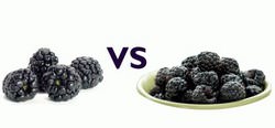 Черная малина и ежевика уже перестали быть экзотикой