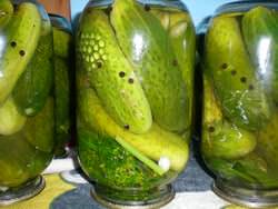 Огурцы, консервированные без стерилизации, получаются хрустящими и сочными