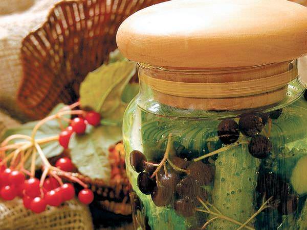 Рябина не только очень полезна для здоровья, но и служит идеальным дубильным ингредиентом для консервирования огурцов