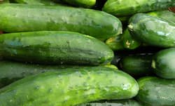 Существует мнение, что сорт Зозуля непригоден для консервирования