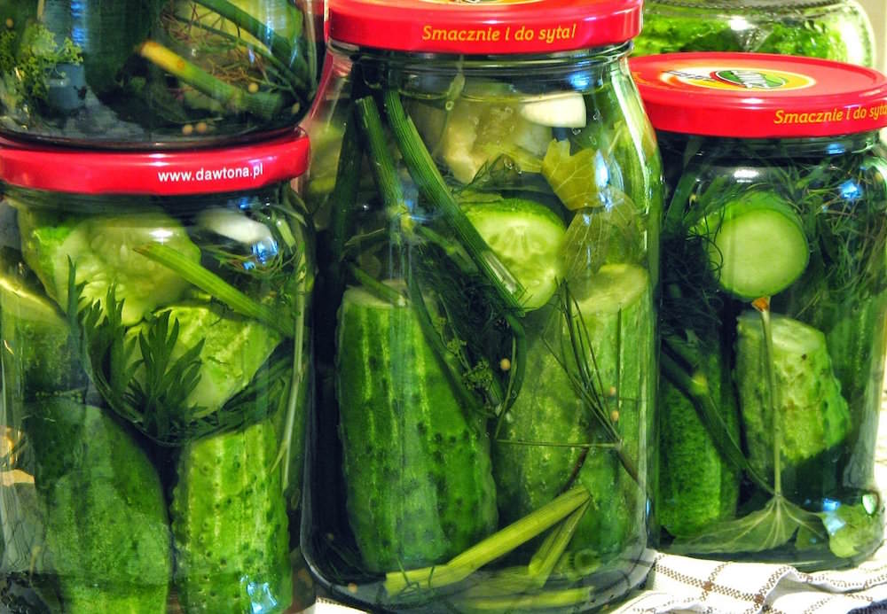 Оригинальные огурчики со свежим ароматом и мятным привкусом по достоинству оценят ваши родные