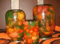 Консервация помидоров с морковной ботвой придает заготовке необычный интересный вкус