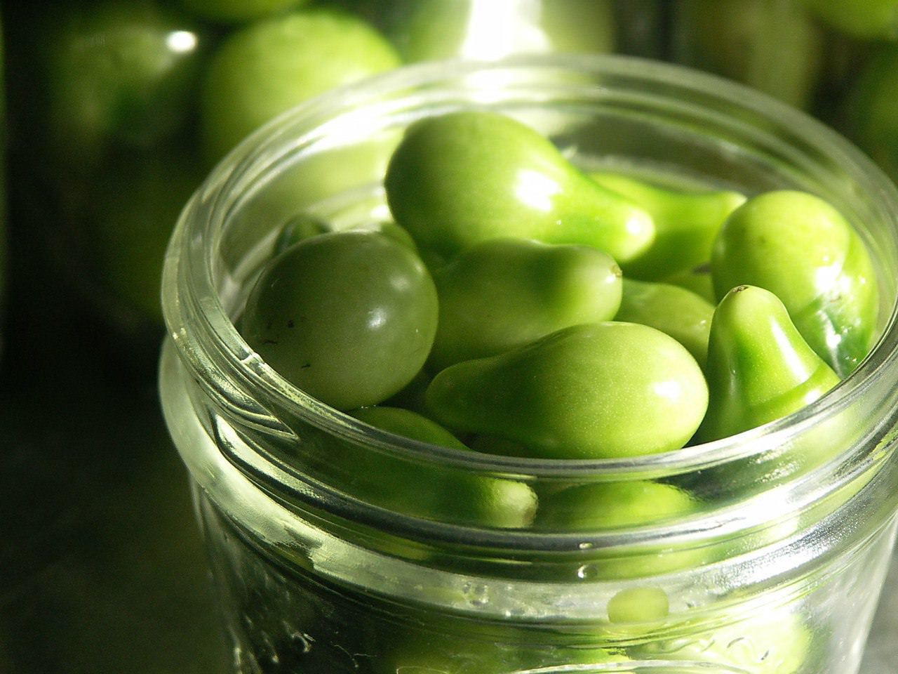 Консервированные зеленые помидоры получаются ничем не хуже красных