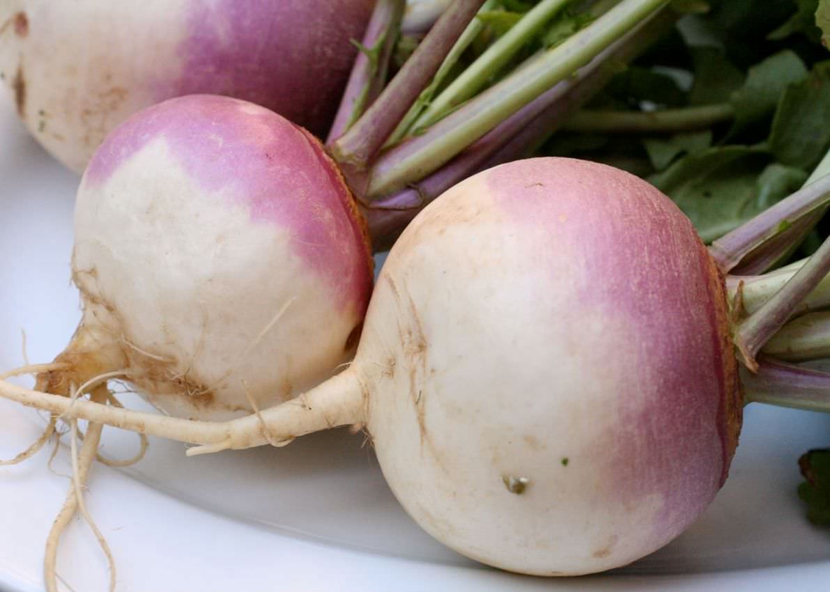 Репа в этой заготовке консервируется с хвостиками