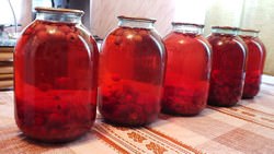 Компоты, заготовленные дома, помогут значительно сэкономить на магазинных напитках