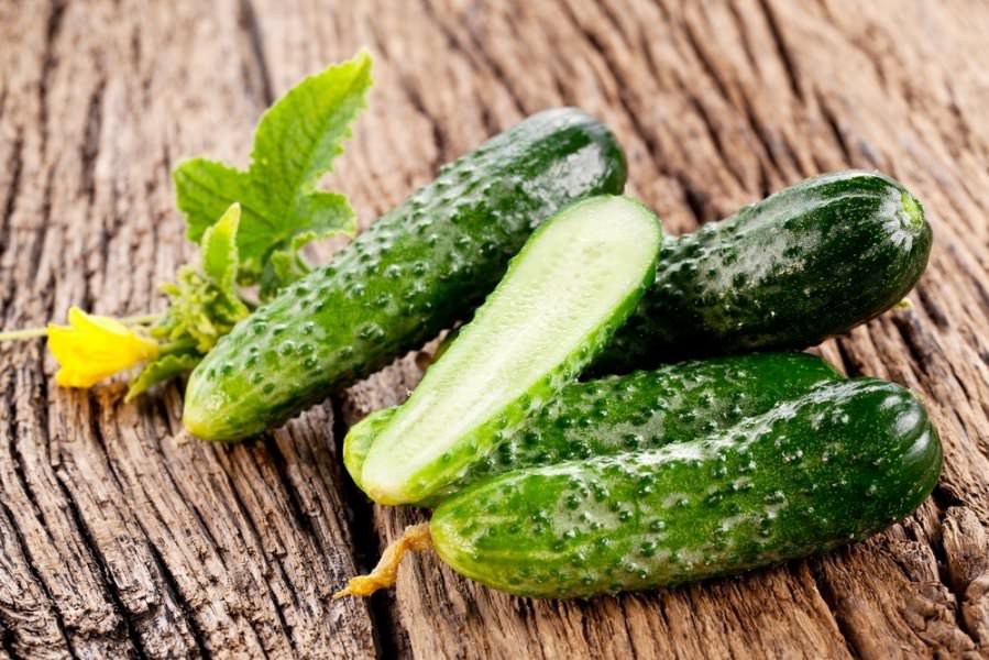 Для консервирования и засолки подходят не все сорта огурцов