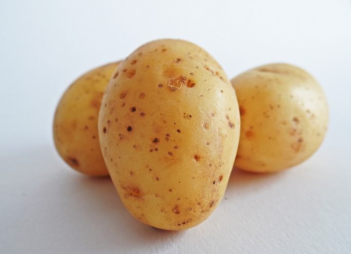 Картофель Даная – cреднеранний универсальный сорт