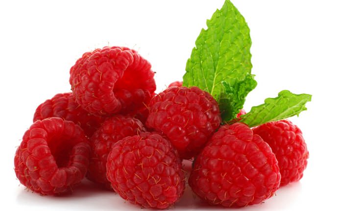 Ягоды сорта Геракл созревают в конце лета