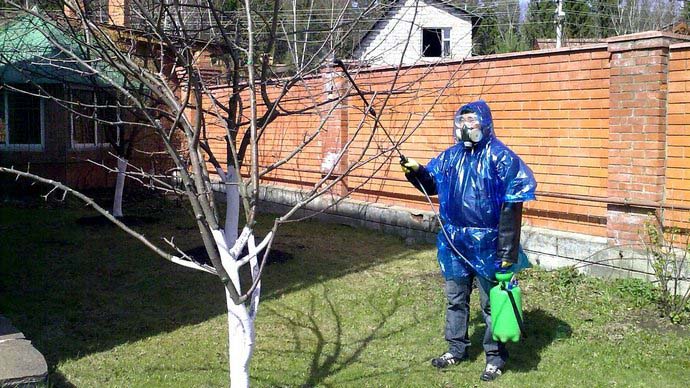 Ранней весной персиковые деревья нуждаются в профилактическом опрыскивании