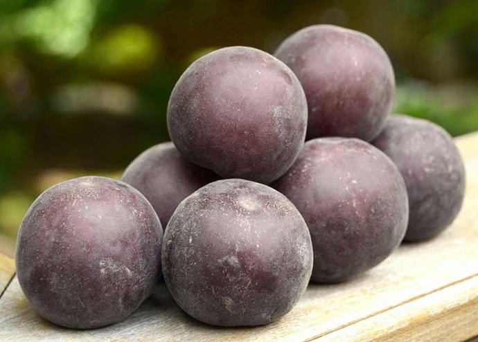 Вкус плодов сорта «Черный принц» ближе к алыче, но с достаточно выраженным абрикосовым ароматом