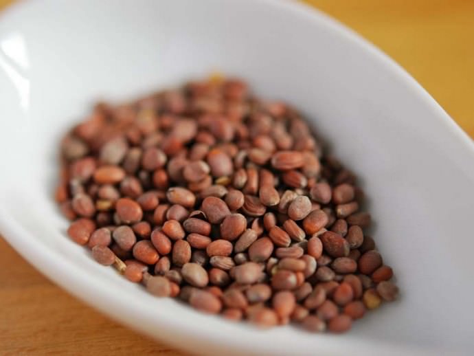 Посадка редиса в марте предполагает грамотный выбор семенного материала