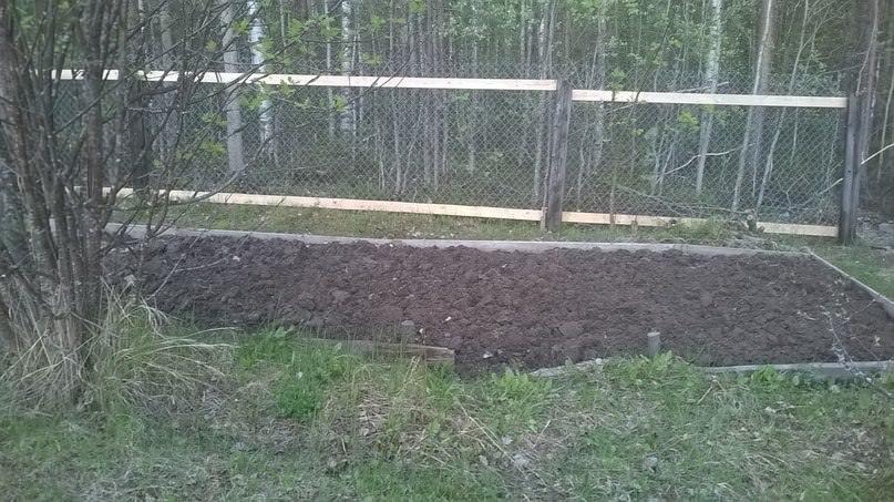 Что можно посадить в глинистую землю