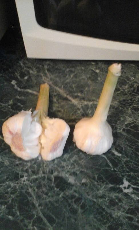 Можно ли сейчас посадить чеснок