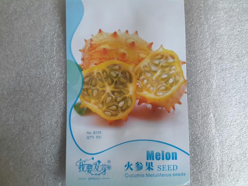 Как выращивать кивано (Тверская обл.)