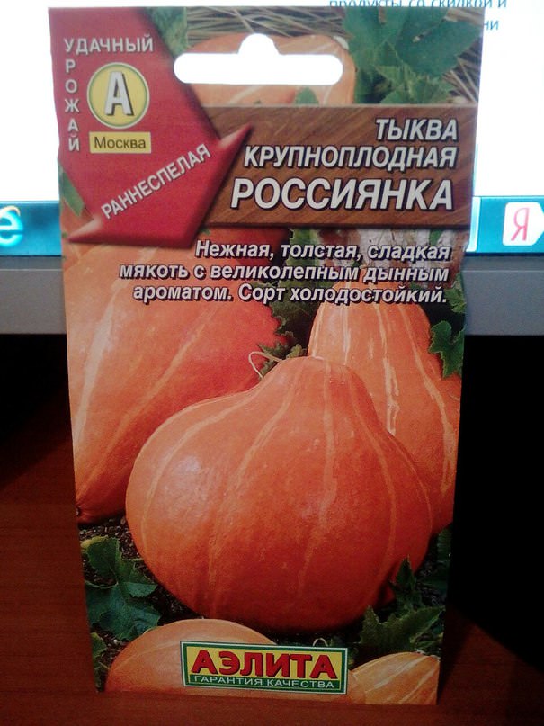 Какой сорт тыквы посадить на участке