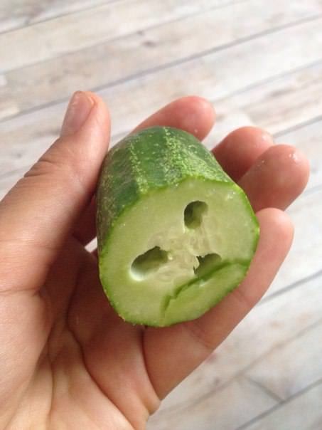 Почему огурцы горчат и у них полость внутри