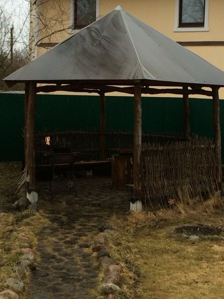 Не вредно ли для клематисов, что зимой много снега