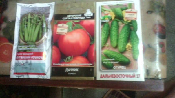 Мнение о сортах помидор "Дачник" и огурцов "Дальневосточный 27"